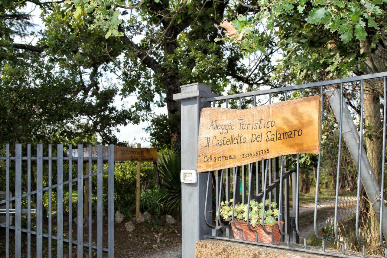 ויטרבו Il Castelletto Del Salamaro מראה חיצוני תמונה